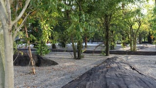 Blick auf einen künstlich angelegten Park.