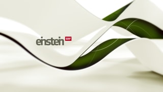 «Einstein»-Logo