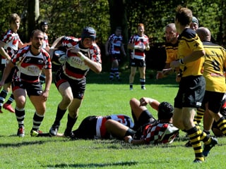 Bild Rugby