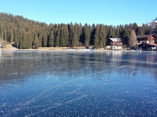 Der Arosasees ist zugefroren, das Eis ist spiegelglatt, dahinter Tannen am Ufer und zwei Häuser. 