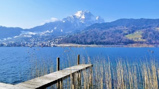 Blick auf den Vierwaldstättersee bei Horw. Blick auf den Vierwaldstättersee bei Horw.