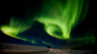 Grünes Polarlicht über der Finnmark.