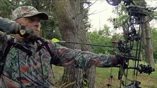 CChris Mo ... Präsident der Schweizer Bogenjäger auf der Pirsch im Elsass, wo diese Jagdmethode erlaubt.
