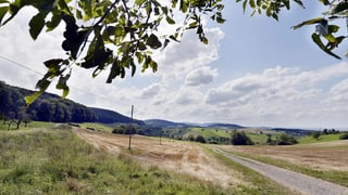 Kulturland bei Magden im Kanton Aargau