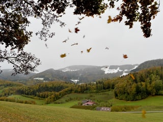Die Berge des Juras sind teils mit Schnee bedeckt, darunter buntes Laub auf den Bäumen im Baselbiet.