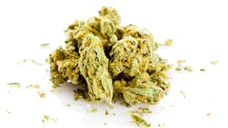 Zu sehen ist die getrocknete Blüte, Marijuana.