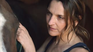 Eine Frau streichelt ein Pferd. Eine Frau streichelt ein Pferd.
