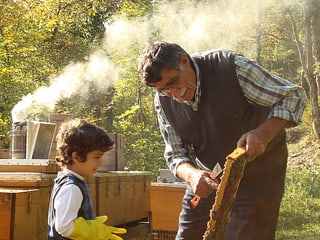 Ibrahim Gezer bringt seinem Enkel das Imkern bei.