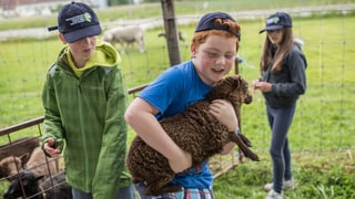 Auf dem Bauernhof kommen die Kinder in Kontakt mit den Tieren