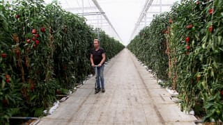 Mann mit Trotti in der grossen Halle Mann mit Trotti in der grossen Halle