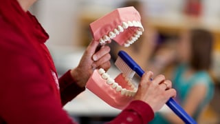 Ein übergrosses Zahnmodell und eine übergrosse Zahnbürste in den Händen einer «Zahnputzfee»