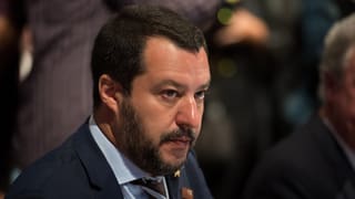 Salvini.