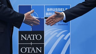 Nato verteidigt 30 Bündnispartner