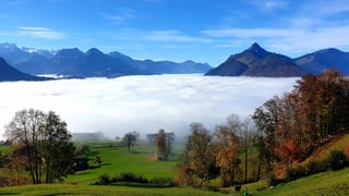 Blick auf ein Nebelmeer über dem Talkessel von Schwyz.