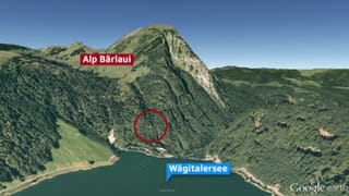Der Wägitalersee mit der Alp Bärlaui im Hintergrund.