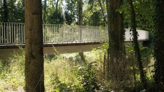 Eine Brücke im Park.