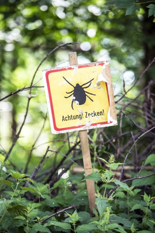 Warnschild vor Zecken in einem Wald Warnschild vor Zecken in einem Wald