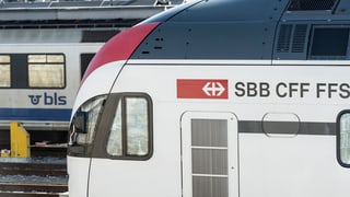 Züge der BLS und der SBB
