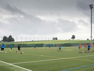 Die Grasshoppers bei ihrem 1. Training auf dem GC-Campus. Die Grasshoppers bei ihrem 1. Training auf dem GC-Campus.