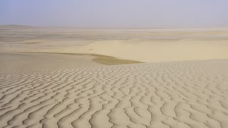 «Wie die Wüste urbar werden soll» auf einer neuen Seite abspielen.
