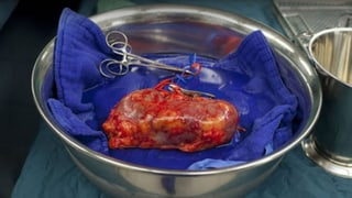 Wissenschaftsmagazin