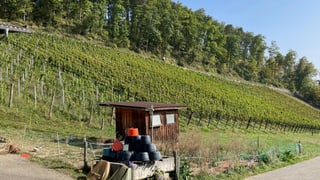 Regionaljournal Basel Baselland