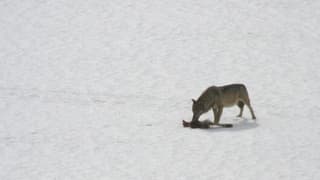Regionaljournal Graubünden