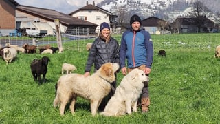 Regionaljournal Ostschweiz