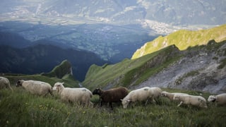 Regionaljournal Ostschweiz