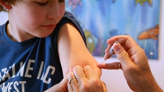 «Zeckenimpfung: Krankenkassen zahlen nur, wenn sie ein Arzt macht» auf einer neuen Seite abspielen.