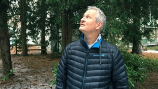 Gast am Mittag