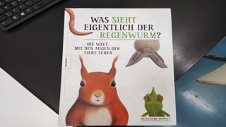 Ratgeber