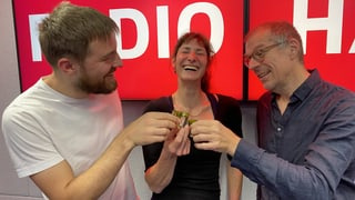 Dini Mundart