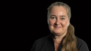 Kultur kompakt