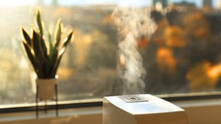 Wissenschaftsmagazin