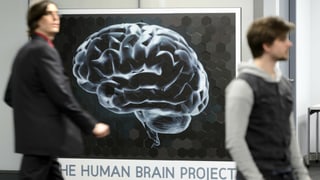 Wissenschaftsmagazin