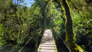 Wissenschaftsmagazin