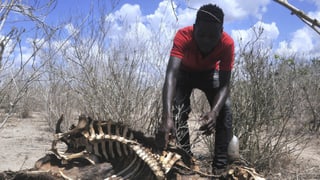 «Ostafrika kämpft mit Trockenheit» auf einer neuen Seite abspielen.