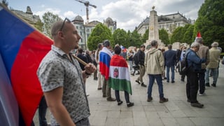 «Ukrainische Flüchtlinge in Ungarn» auf einer neuen Seite abspielen.