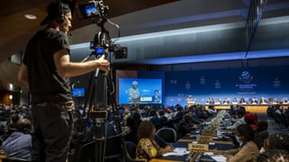 «WTO erreicht noch keine Einigung bei Impfstoffpatenten» auf einer neuen Seite abspielen.