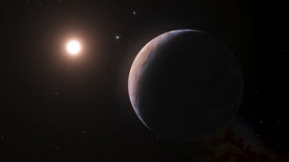 «Leben auf Exoplaneten wahrscheinlicher als angenommen» auf einer neuen Seite abspielen.