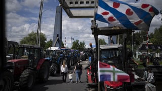 «Niederlande: Bauern-Proteste gegen Stickstoff-Reduktion» auf einer neuen Seite abspielen.