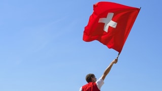 «Der gut schweizerische Kompromiss in der Krise» auf einer neuen Seite abspielen.