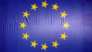 «Europawahl: Die Menschen wollen mitgestalten» auf einer neuen Seite abspielen.