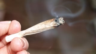««Es ist nicht Mainstream, gegen Cannabis-Legalisierung zu sein»» auf einer neuen Seite abspielen.
