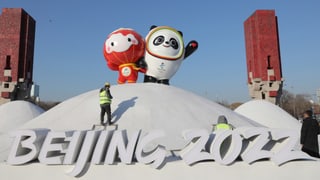 «Das ist die Schweizer Olympia-Delegation für Peking» auf einer neuen Seite abspielen.
