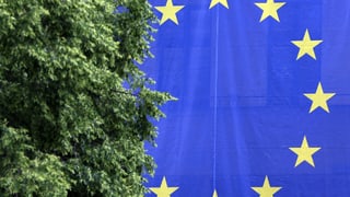 «EU: Wahlrechts-Reform sorgt für lebhafte Debatte» auf einer neuen Seite abspielen.