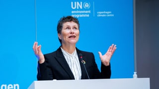 «Knall bei der UNO: Rücktritt von Unops-Chefin» auf einer neuen Seite abspielen.