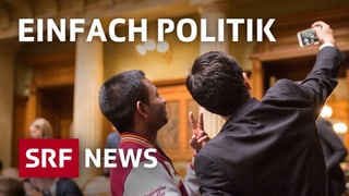 Einfach Politik Einfach Politik