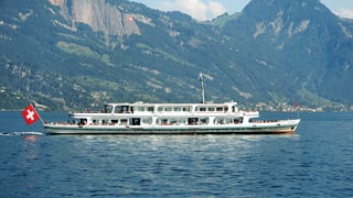 Sinerzyt